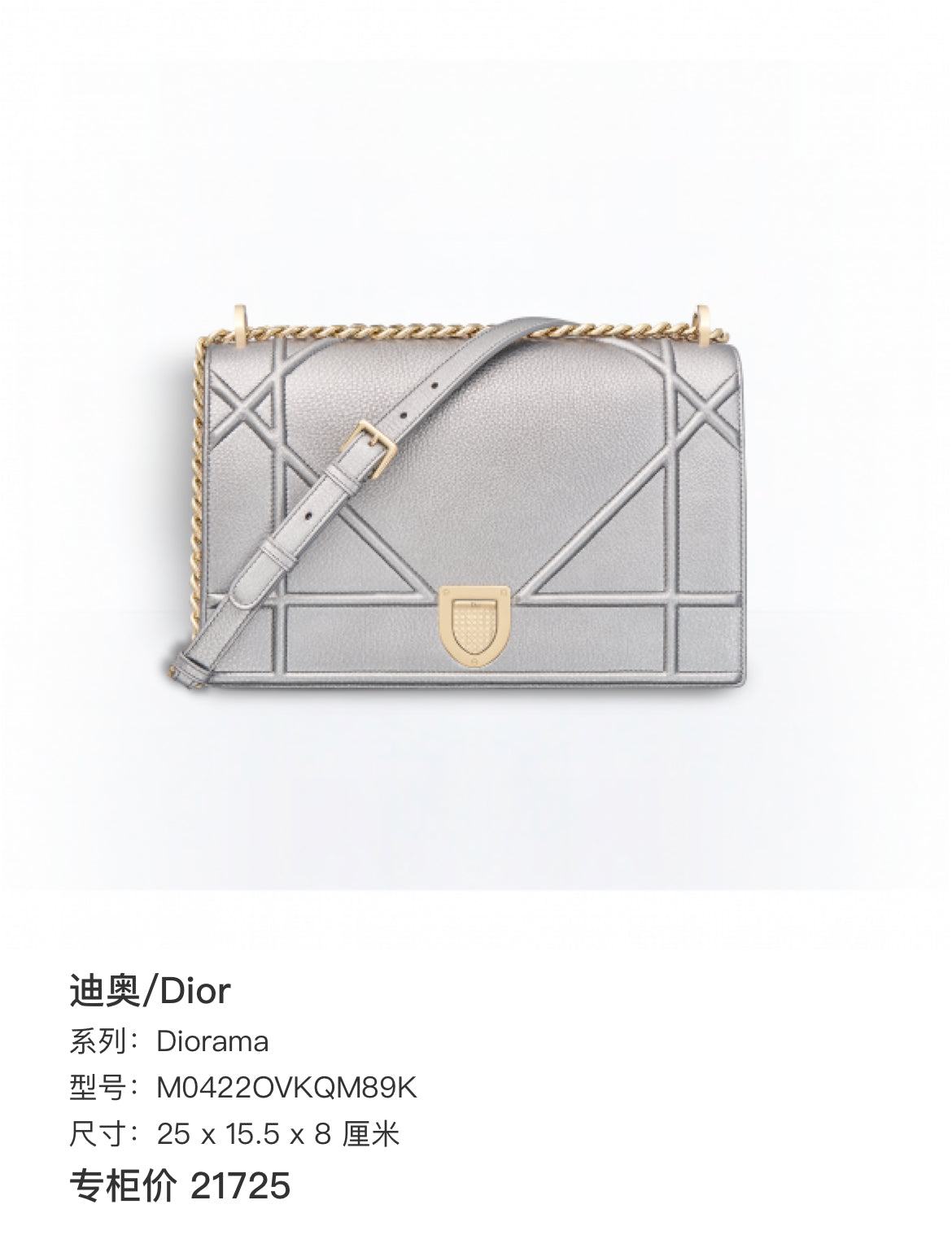 Dior Diorama Silver Shoulder Bag M0422OVKQM89K
