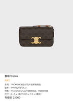 Celine TRIOMPHE logo-printed cowhide shoulder bag Leather Backpack 8 x 5 x 2 inches (20.5 x 11.5 x 4 centimeters) 194142CUZ.04LU