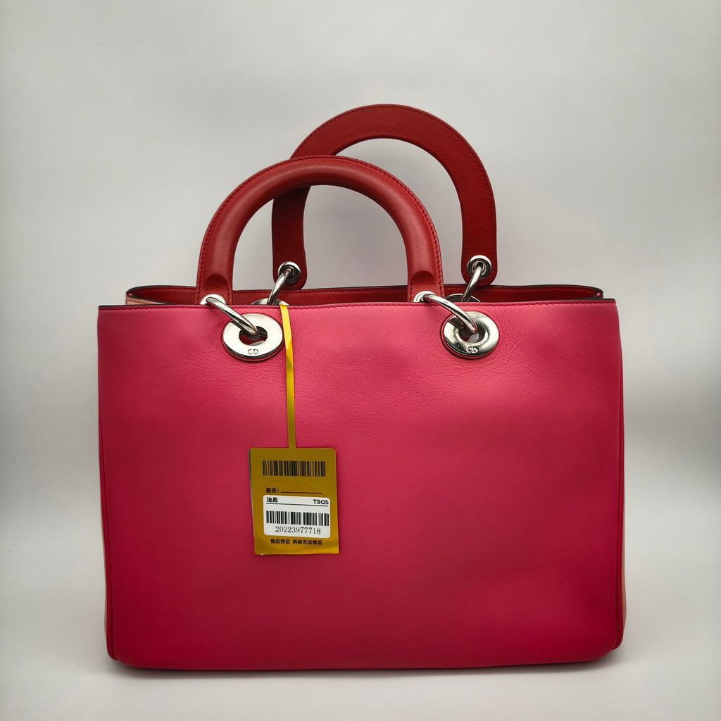 Dior Satchel