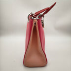 Dior Satchel