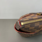 Louis Vuitton Brown