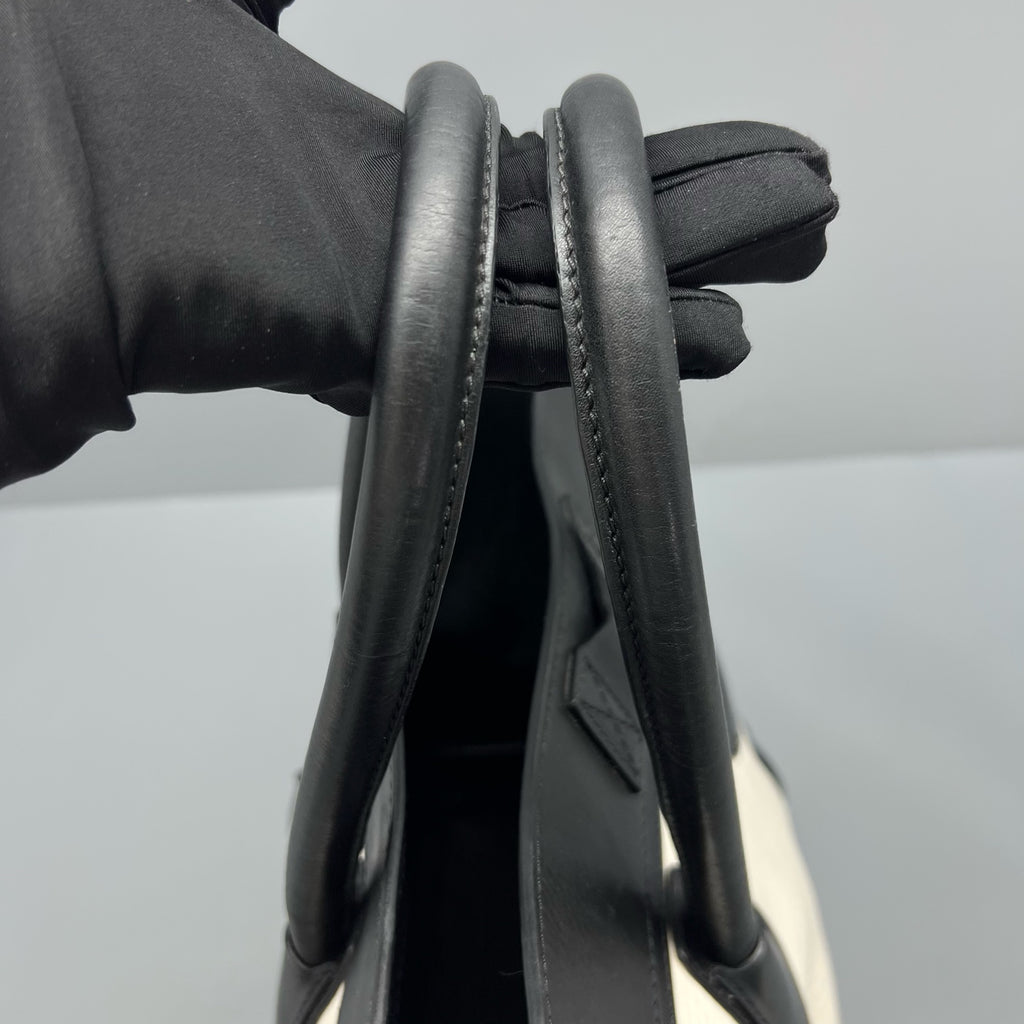 Celine Satchel