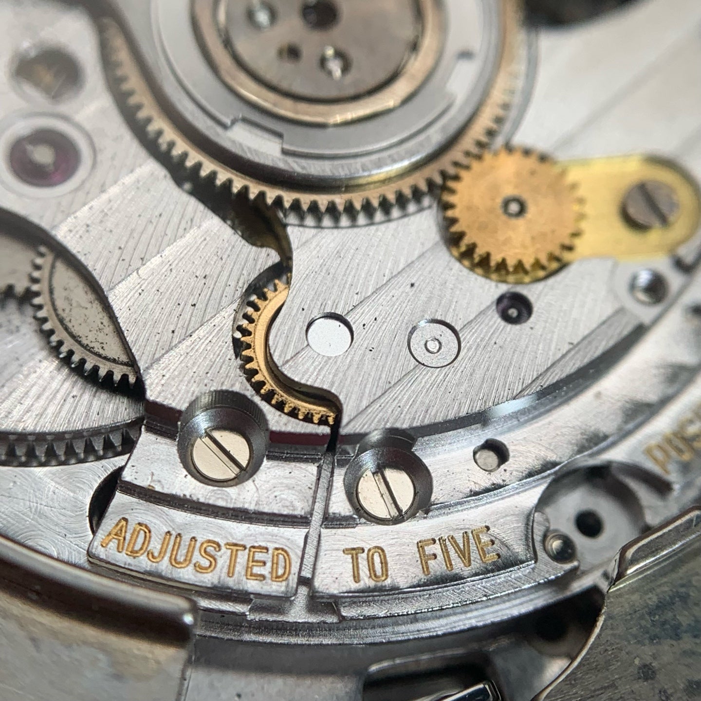 Omega Seahorse 42.2 millimeters 2513.30.00