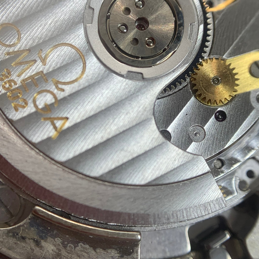 Omega Seahorse 42.2 millimeters 2513.30.00