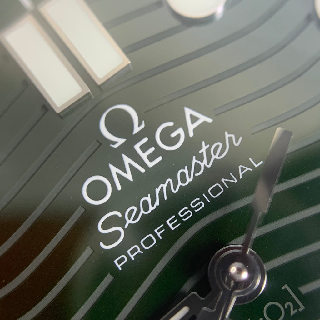 Omega Seahorse Series 42 210.30.42.20.10.001