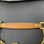 Louis Vuitton Brown Satchel