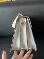 Miu Miu Crossbody