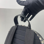Dior Canvas Black Backpack