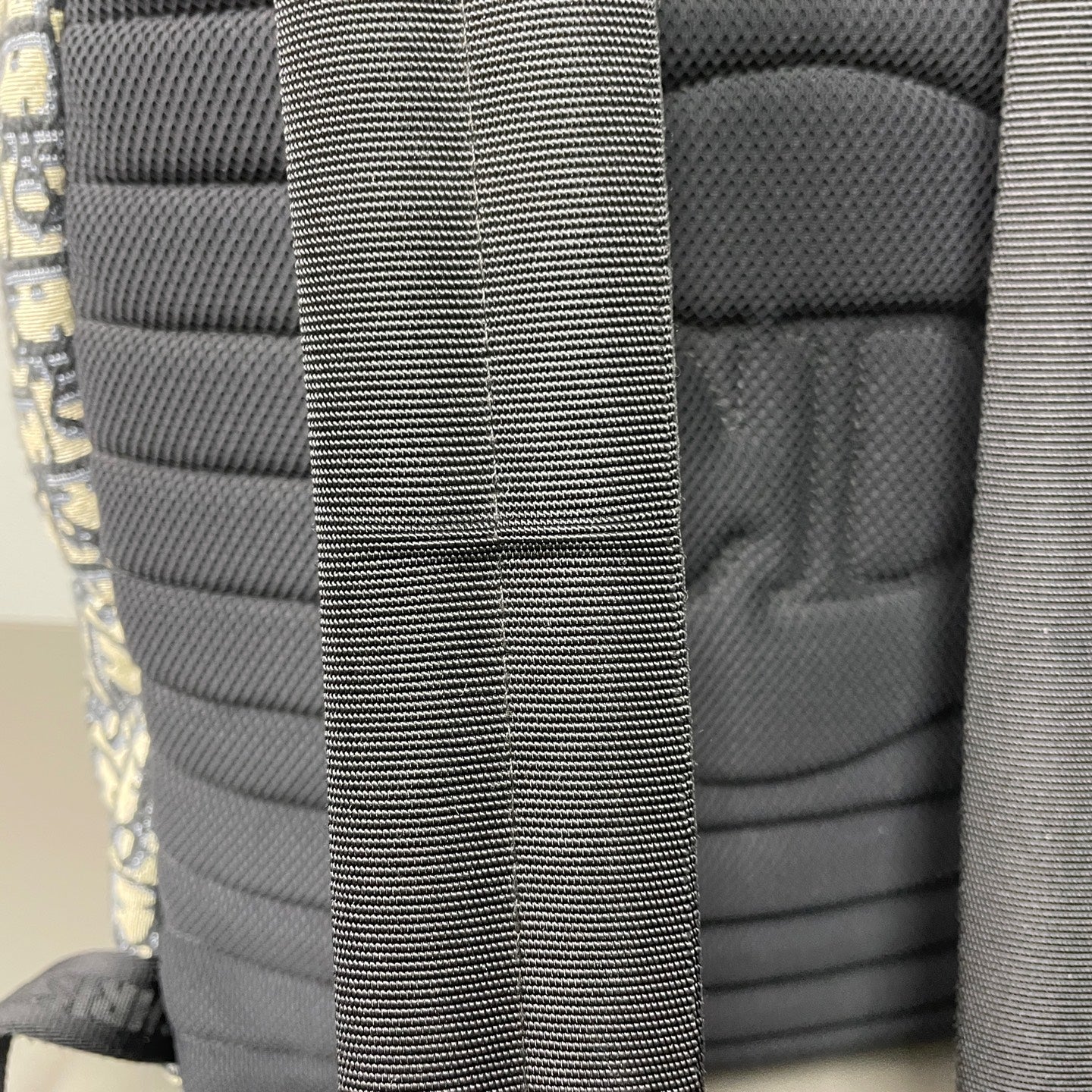 Dior Canvas Black Backpack