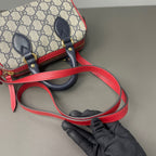 Gucci Canvas