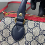 Gucci Canvas