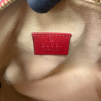 Gucci Canvas