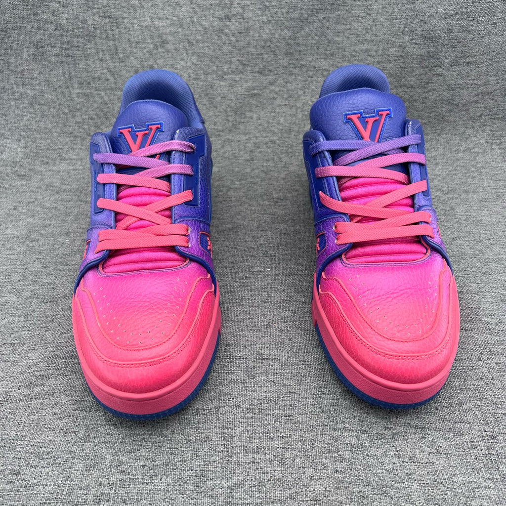 Louis Vuitton Skate shoes