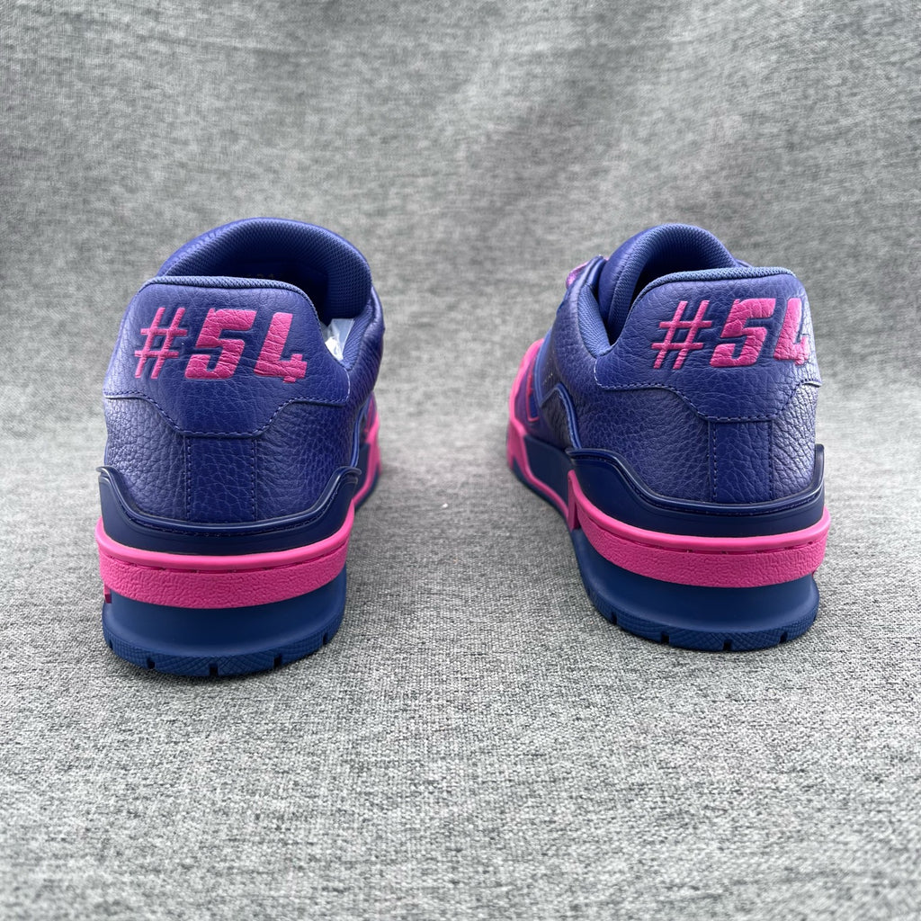 Louis Vuitton Skate shoes