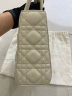 Dior Metal White Crossbody