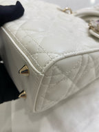 Dior Metal White Crossbody