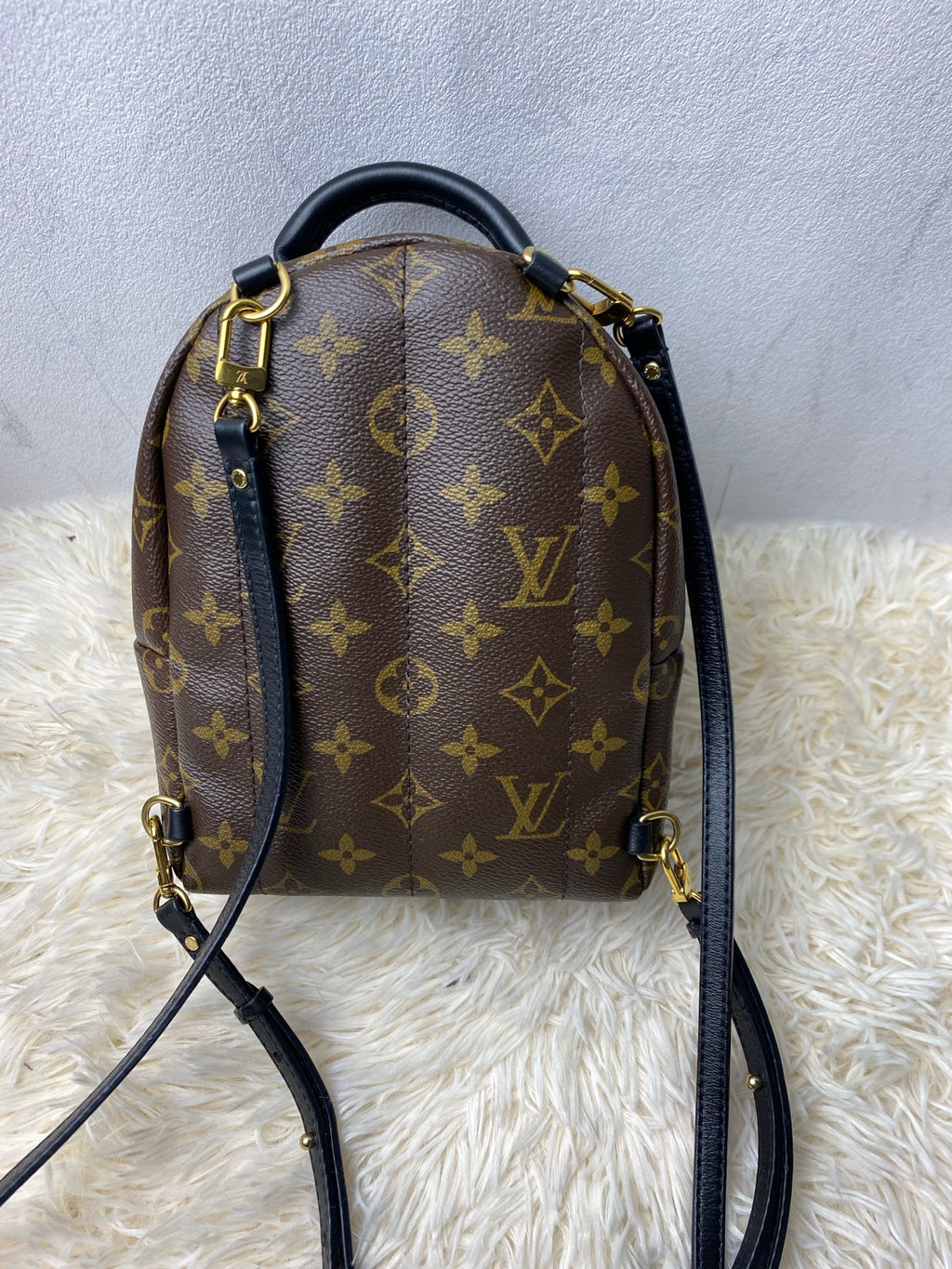 Louis Vuitton Backpack