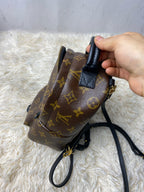 Louis Vuitton Backpack
