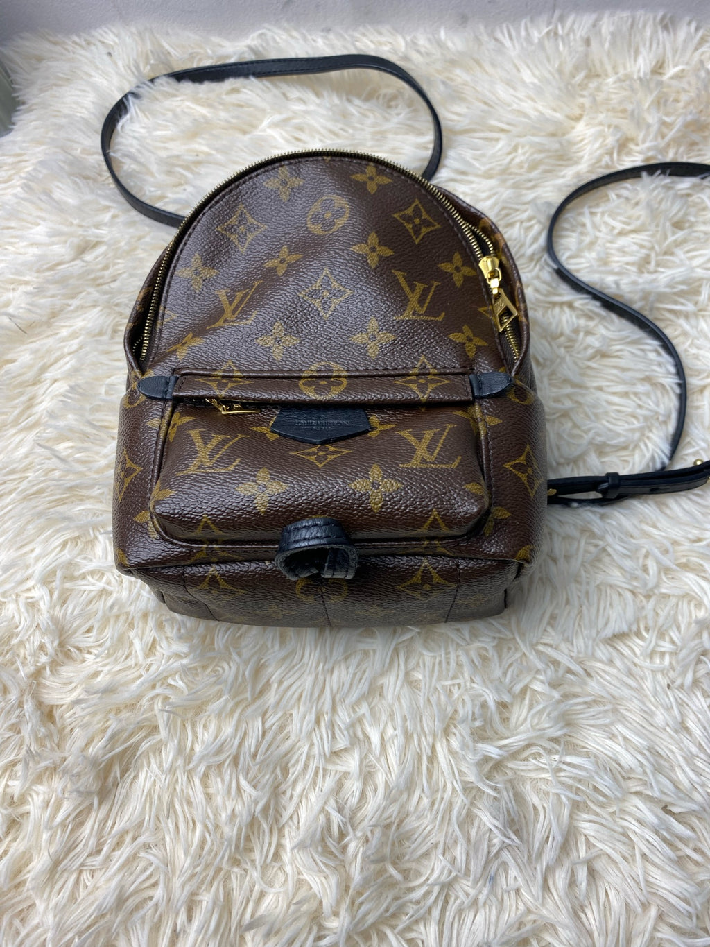 Louis Vuitton Backpack