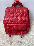 Dior Backpack