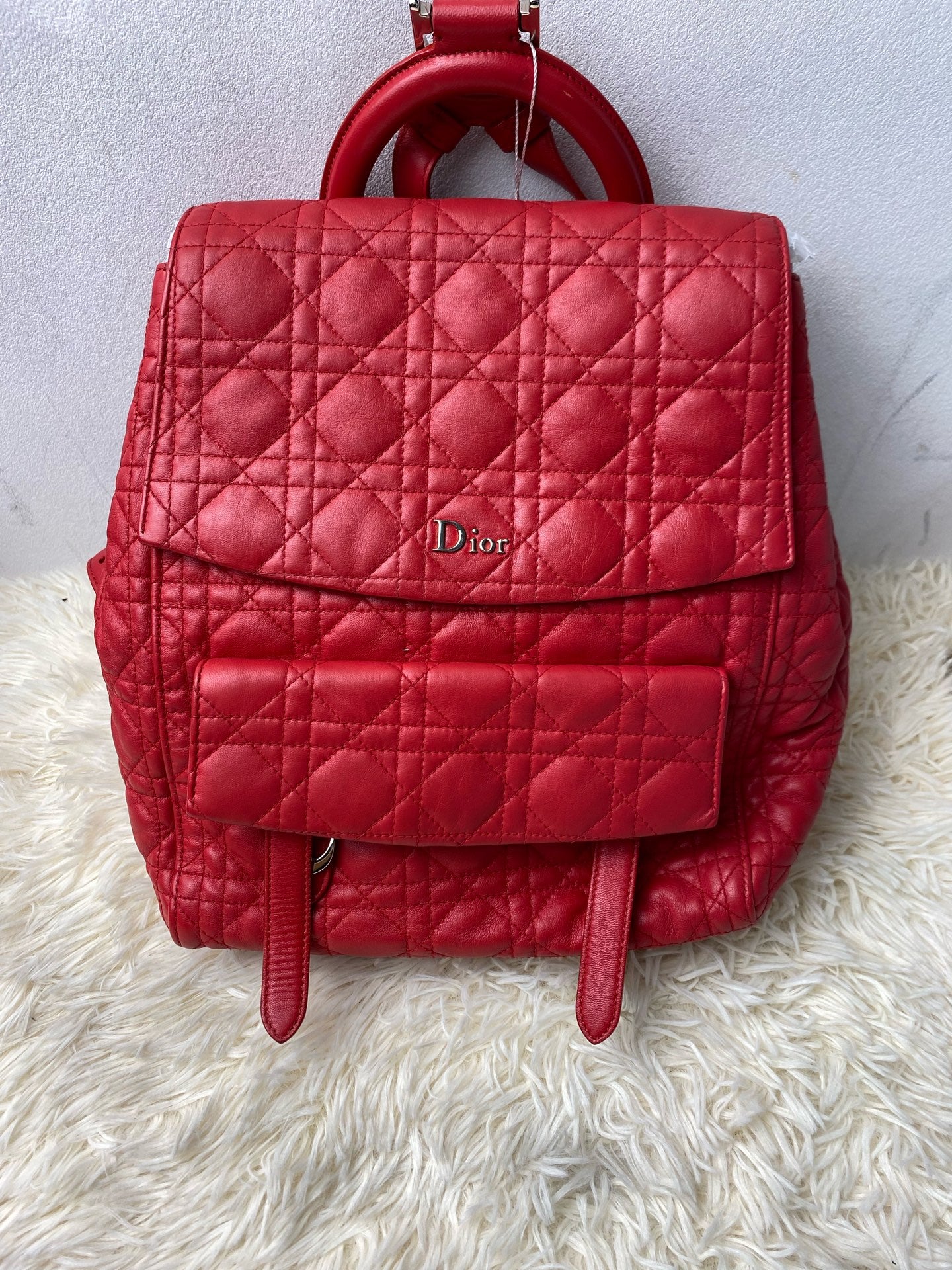 Dior Backpack