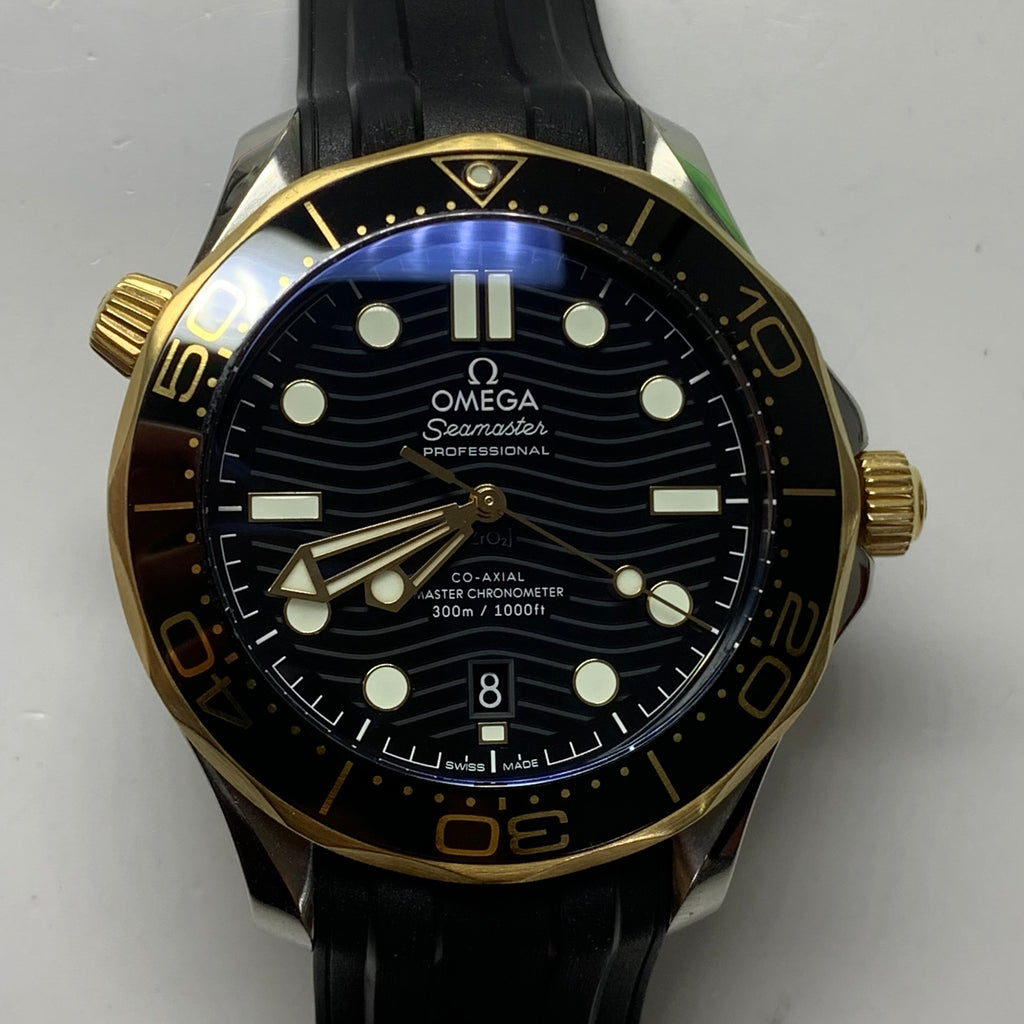 Omega Seahorse Series 42 210.22.42.20.01.001
