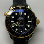 Omega Seahorse Series 42 210.22.42.20.01.001