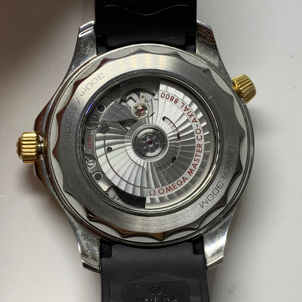 Omega Seahorse Series 42 210.22.42.20.01.001