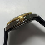 Omega Seahorse Series 42 210.22.42.20.01.001