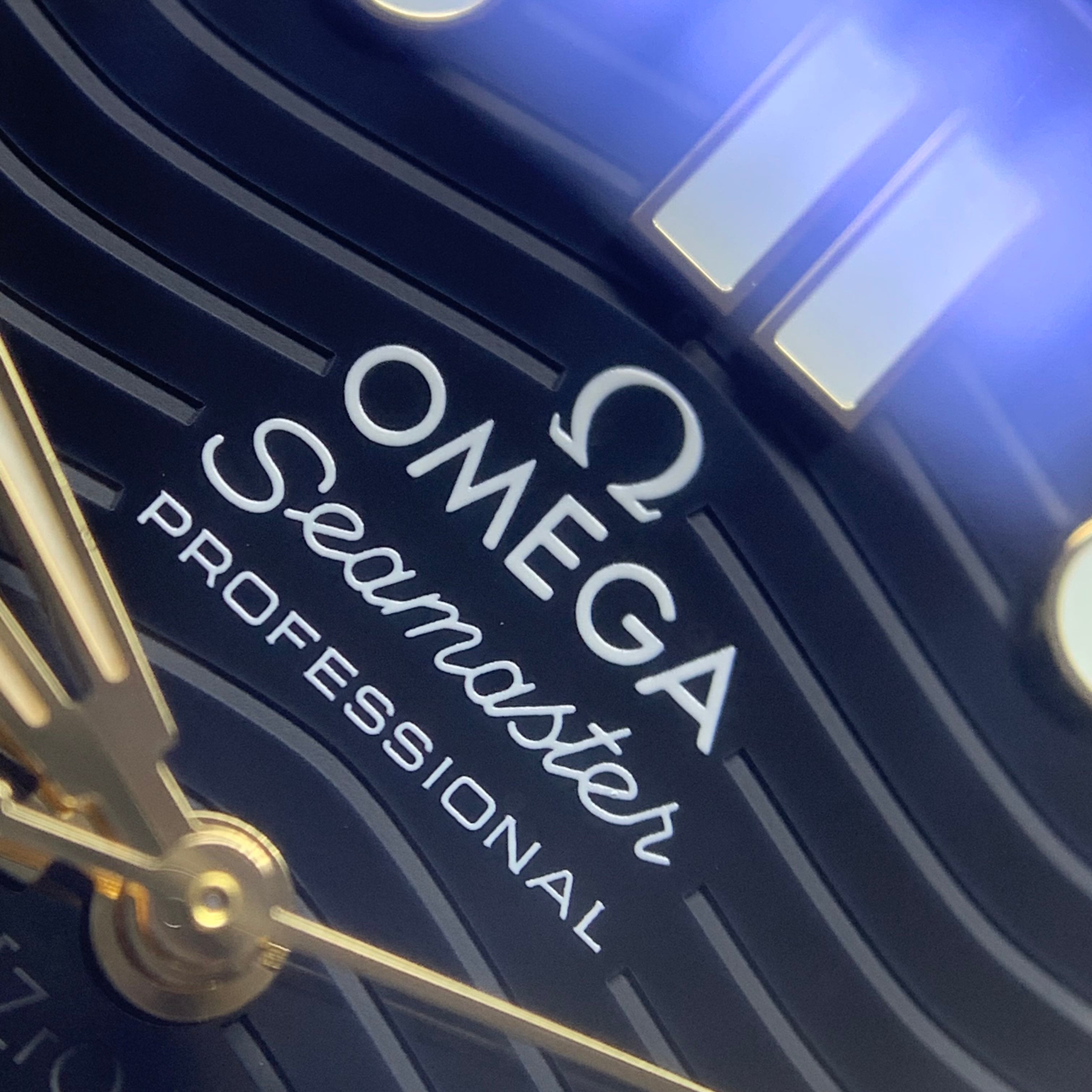 Omega Seahorse Series 42 210.22.42.20.01.001