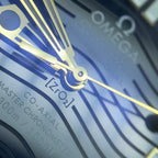 Omega Seahorse Series 42 210.22.42.20.01.001
