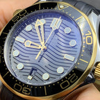 Omega Seahorse Series 42 210.22.42.20.01.001