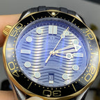 Omega Seahorse Series 42 210.22.42.20.01.001