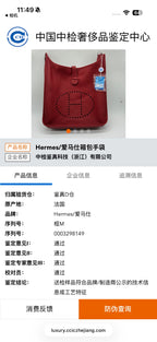 Hermes Tote