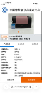 Celine Shoulder Bag