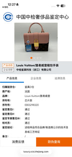 Louis Vuitton Pink 21x17x7.5 M44080