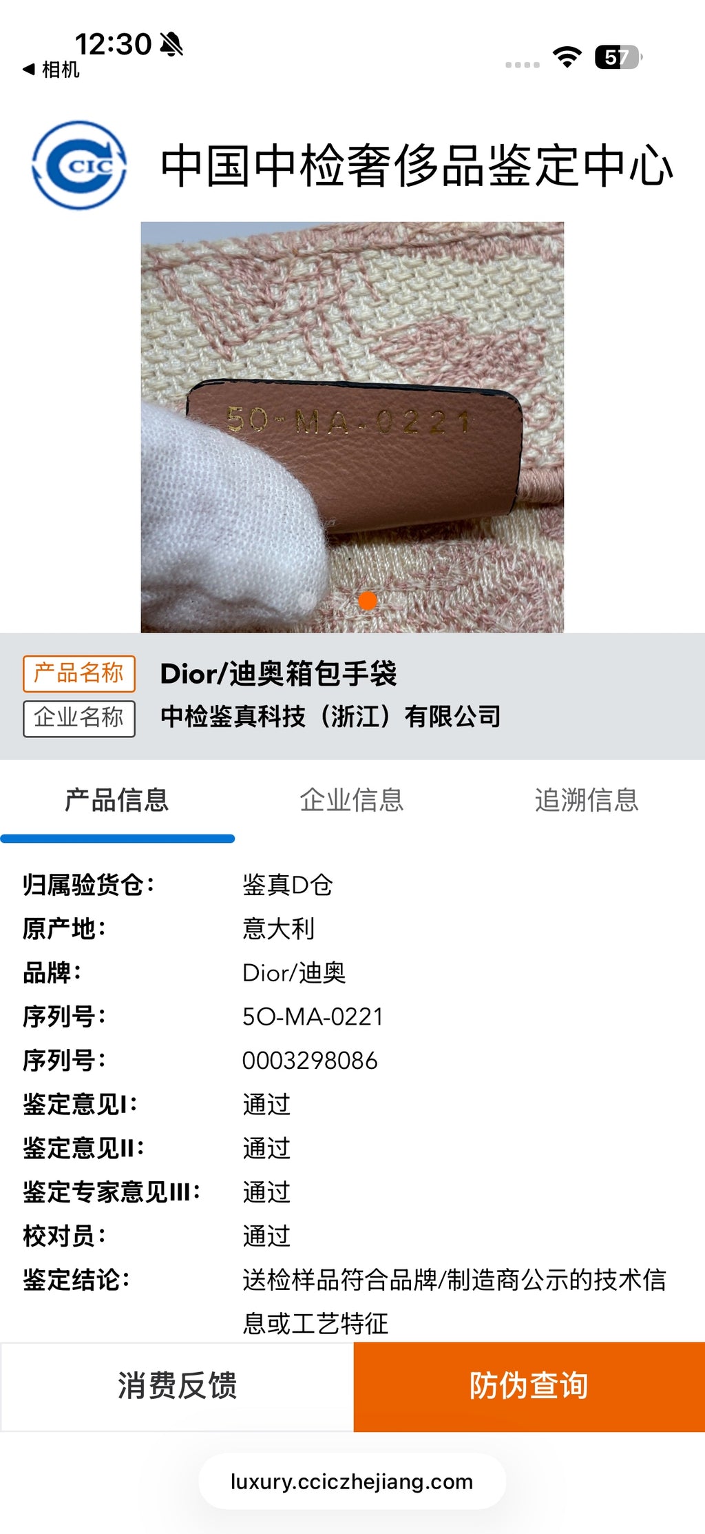 Dior Pink Tote M1296ZTDT_M912