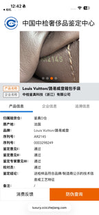Louis Vuitton Satchel