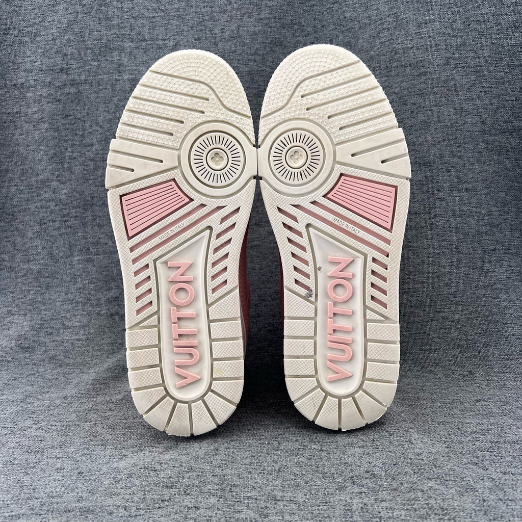 Louis Vuitton Skate shoes