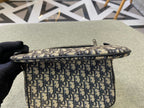 Dior Crossbody