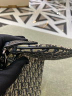 Dior Crossbody