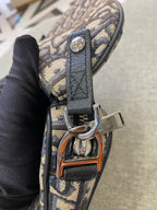Dior Crossbody