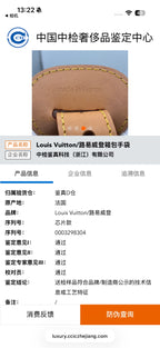 Louis Vuitton ALL IN Large Handbag Bucket & Drawstring Bag 31 x 18 x 26 M12926