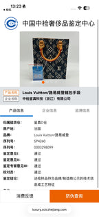 Louis Vuitton Satchel