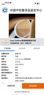 Louis Vuitton Satchel