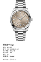 Omega Seahorse Series 38 220.10.38.20.09.001