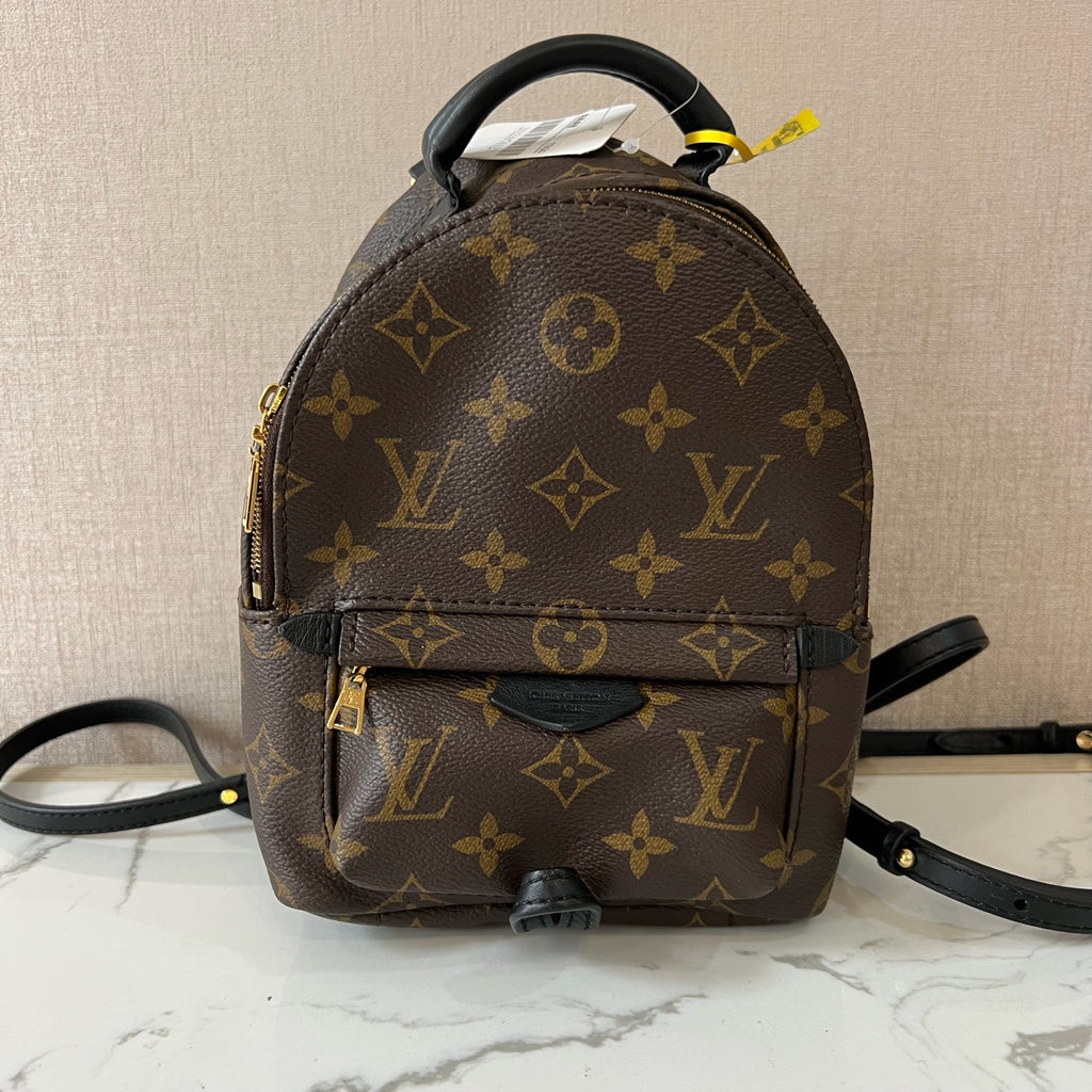 Louis Vuitton Backpack
