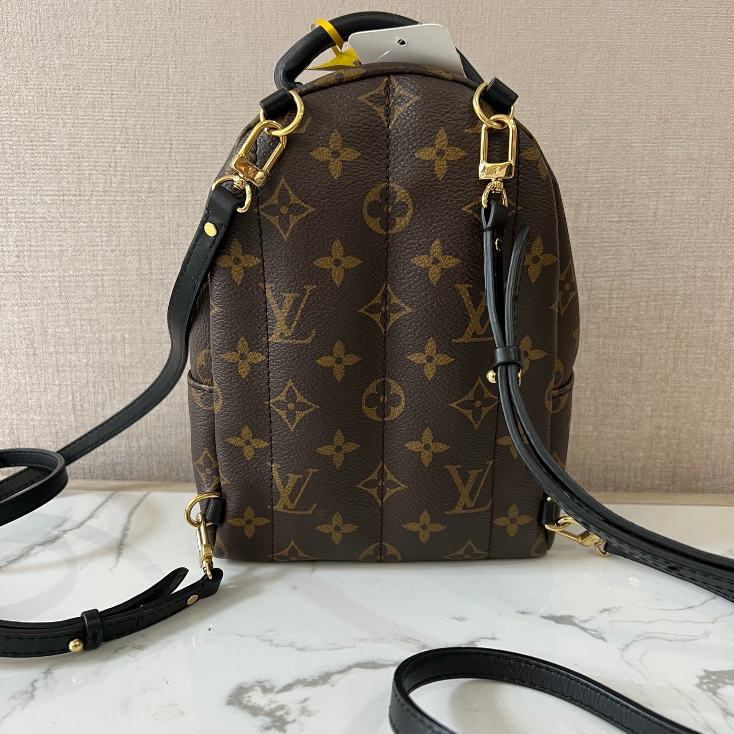 Louis Vuitton Backpack