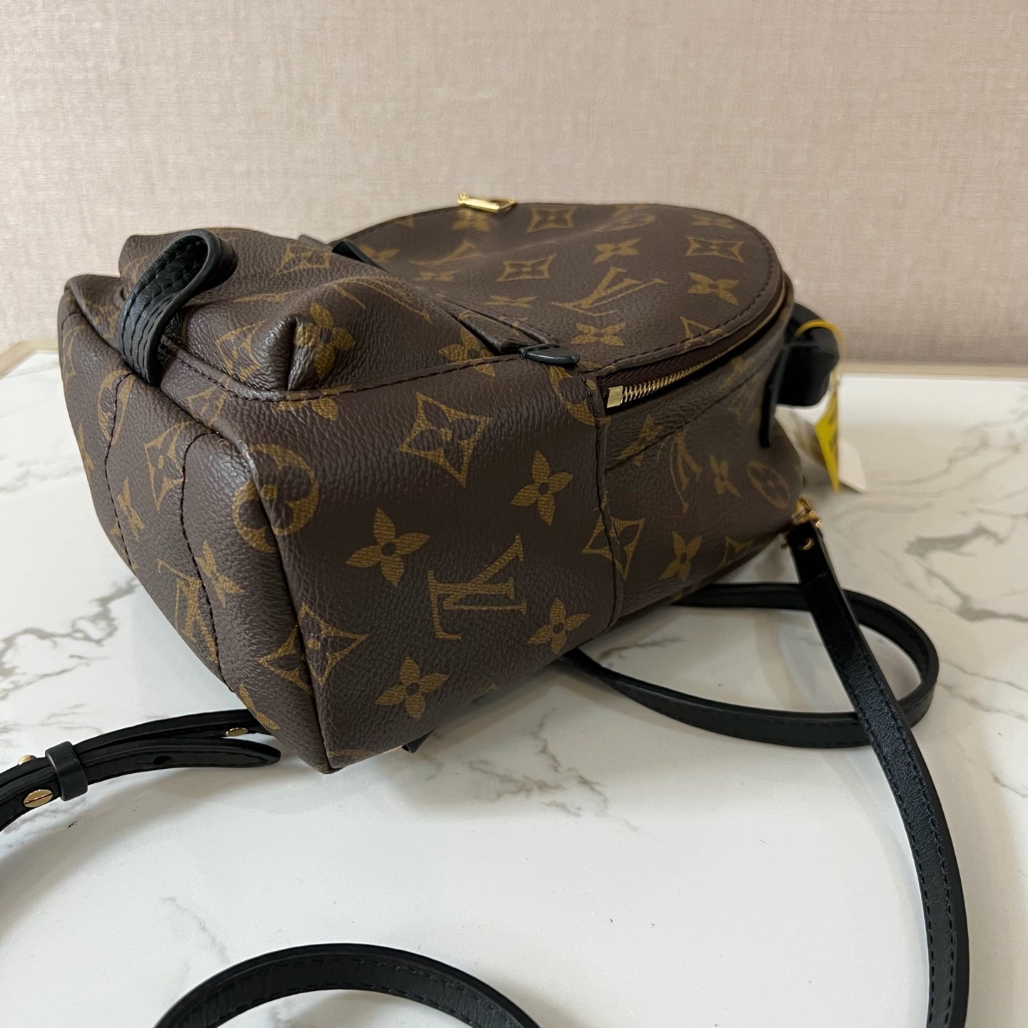 Louis Vuitton Backpack