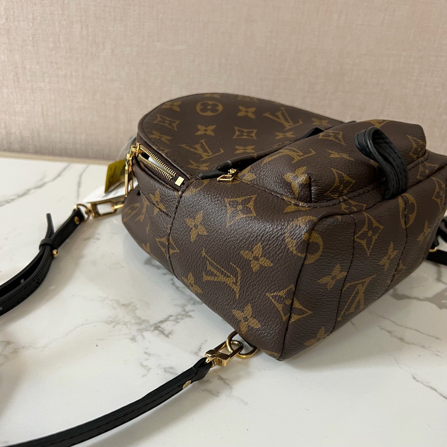 Louis Vuitton Backpack